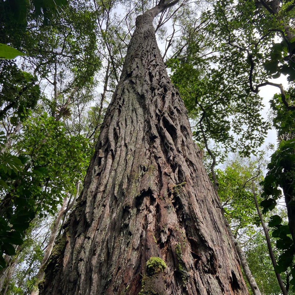 How to write a cover letter using&nbsp;ChatGPT